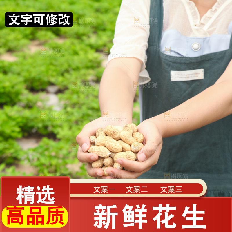 手里拿着现挖花生