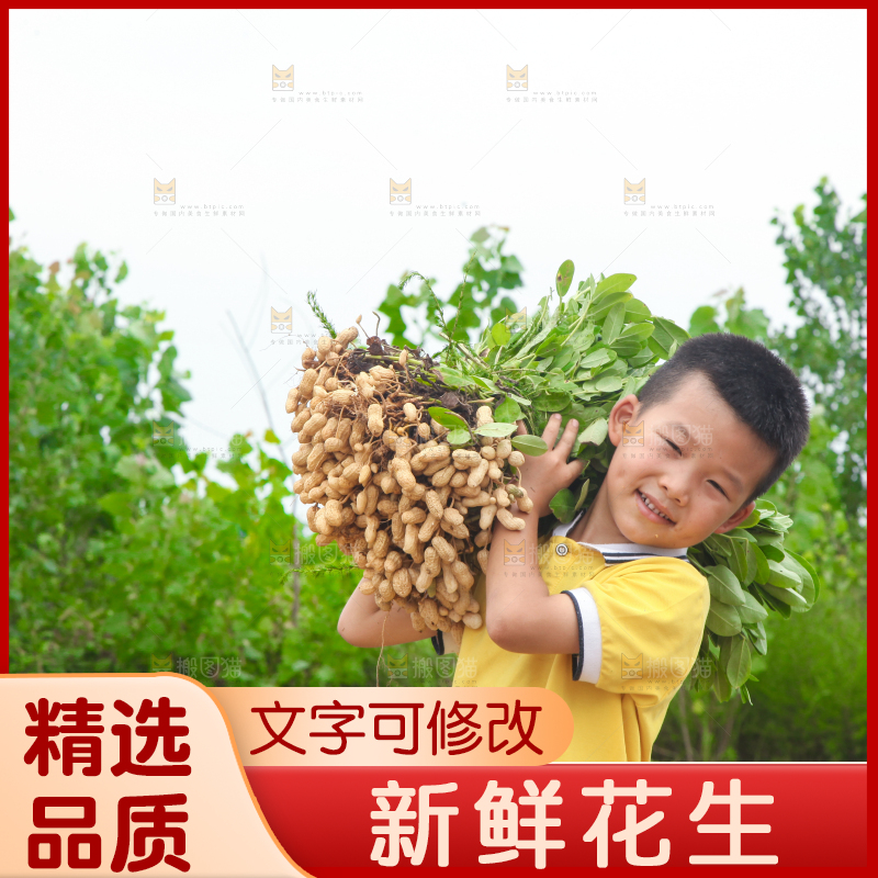 手里拿着现挖花生