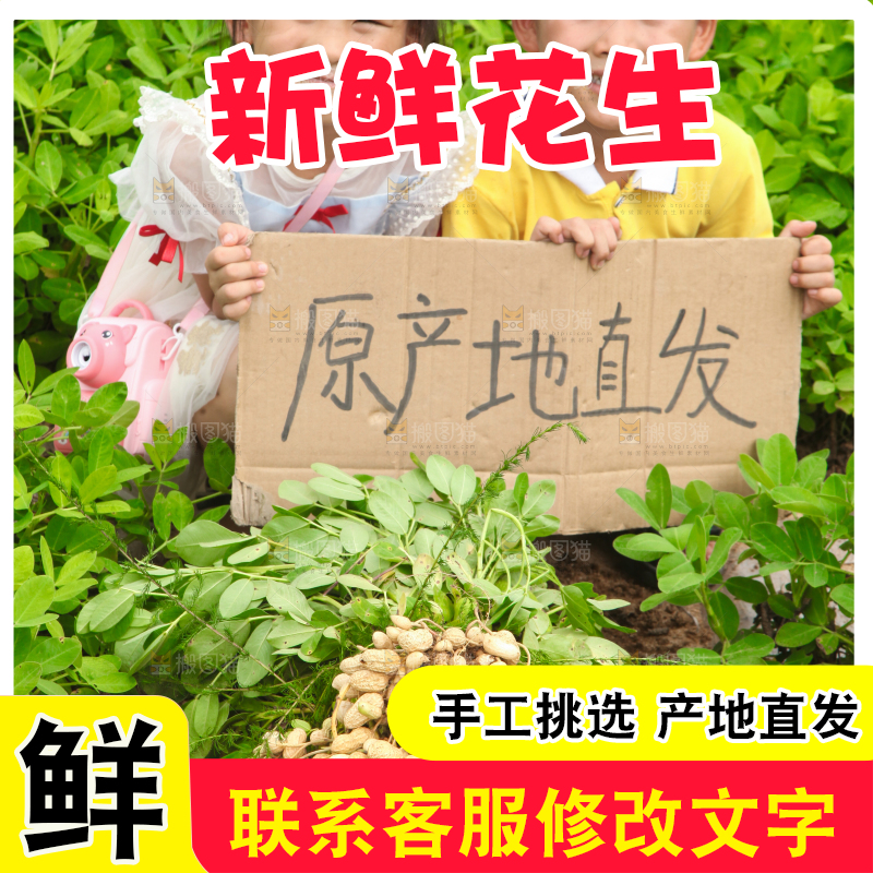手里拿着现挖花生