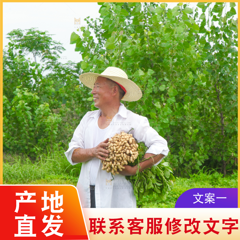 手里拿着现挖花生