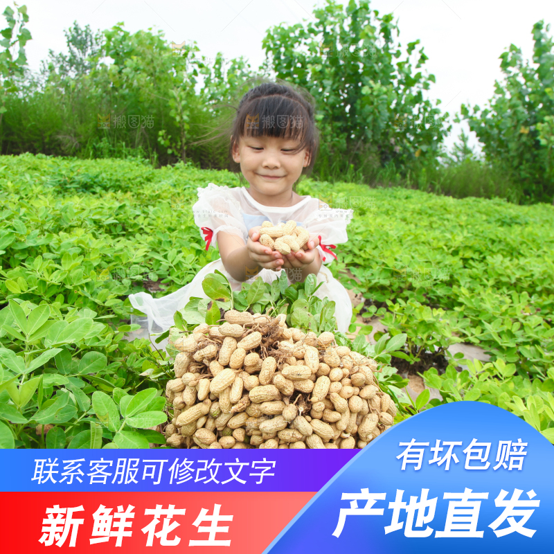 手里拿着现挖花生