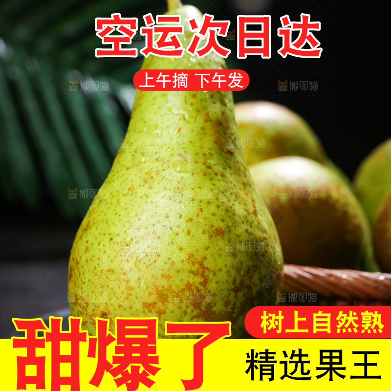 黑底上的进口啤梨
