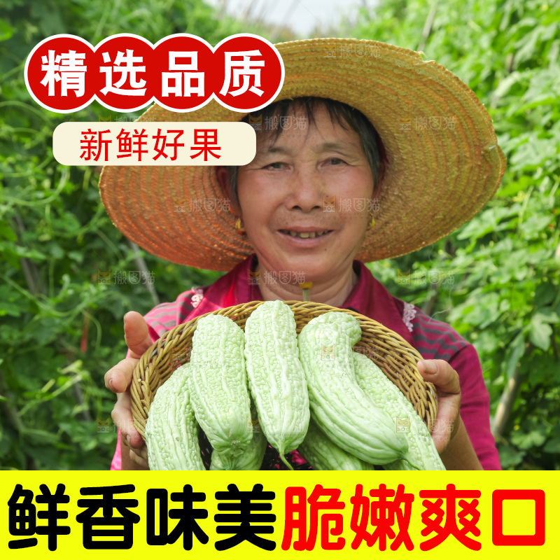 手里拿着新鲜苦瓜