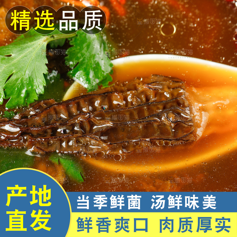 砂锅里的羊肚菌汤