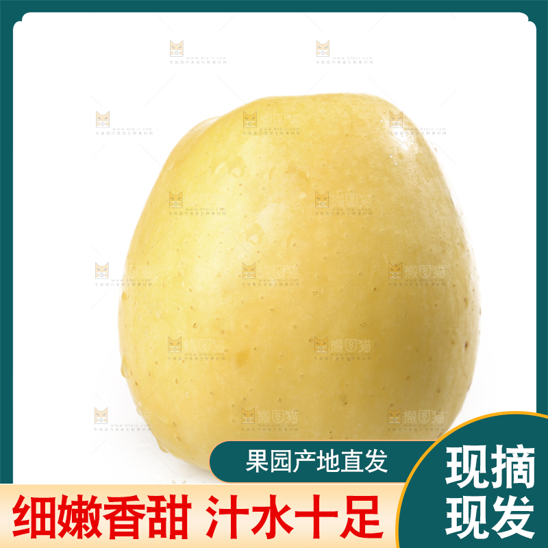 白底上的维纳斯苹果