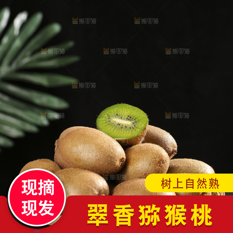 黑底上的翠香猕猴桃