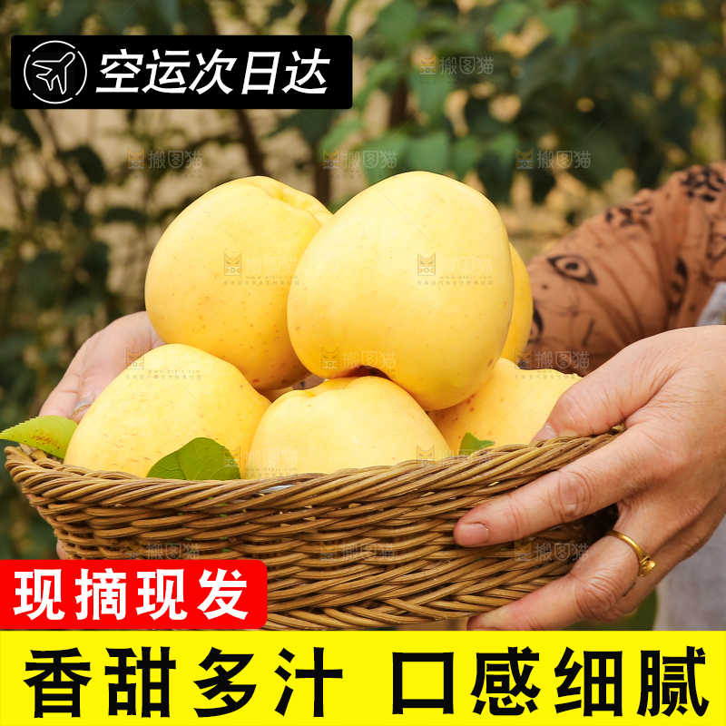 手里拿着维纳斯苹果
