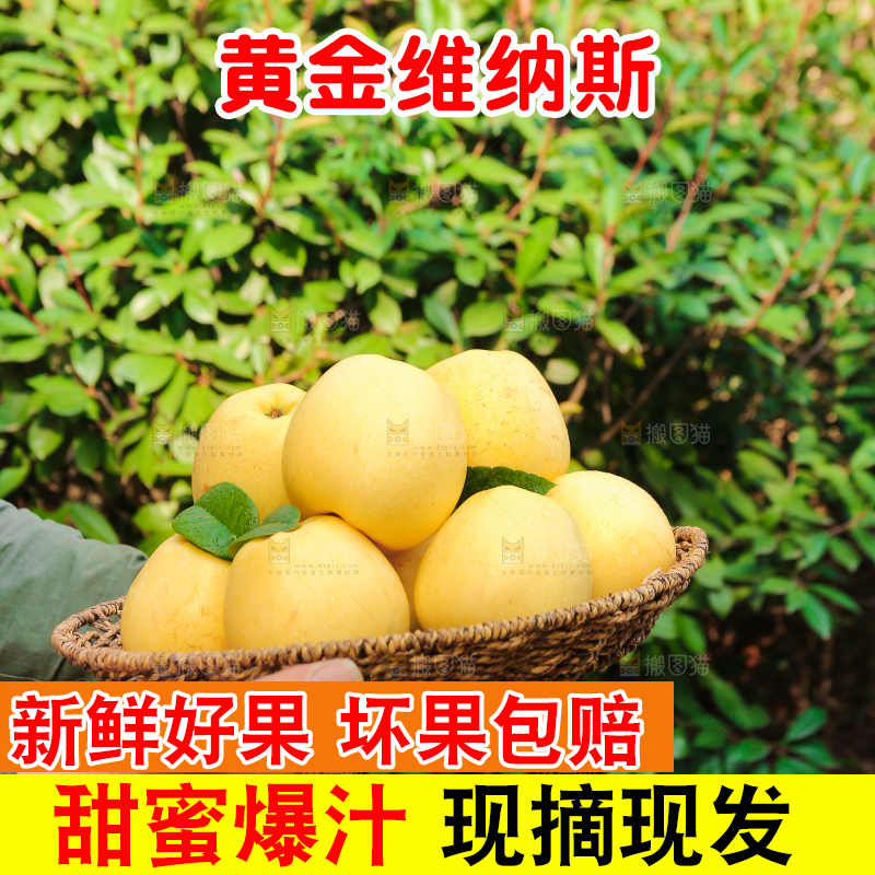 手里拿着维纳斯苹果