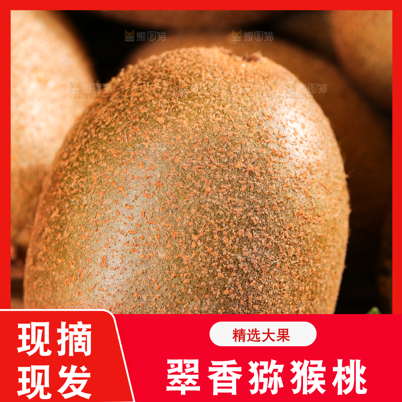 黑底上的翠香猕猴桃