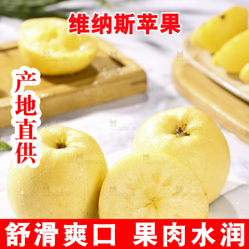 浅底上的维纳斯苹果