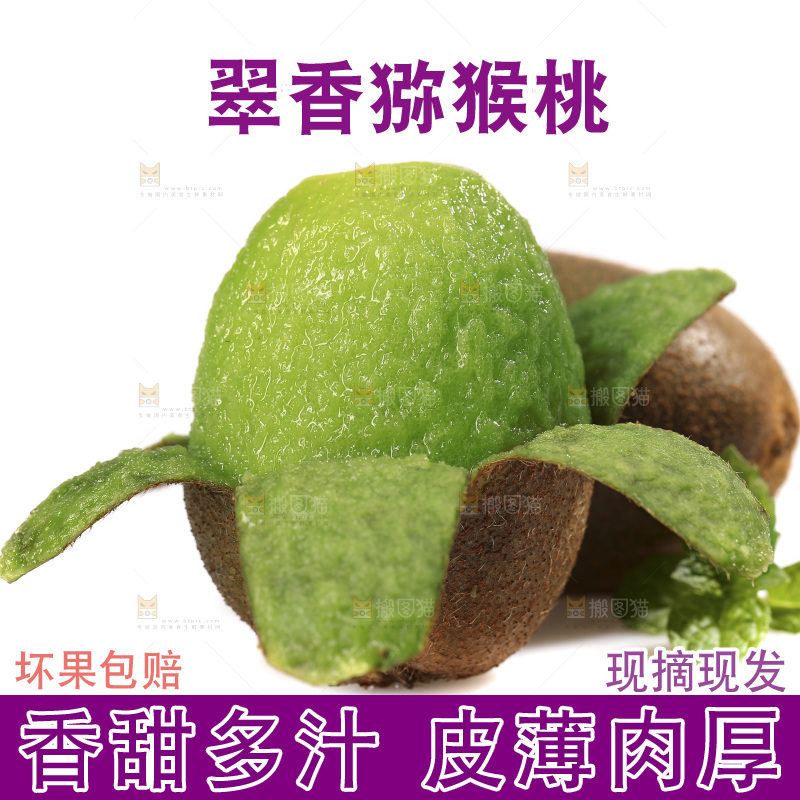 白底上放着翠香猕猴桃