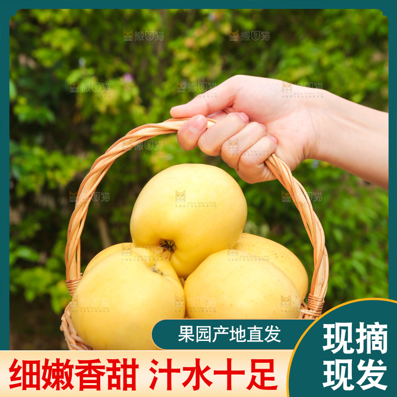 手里拿着维纳斯苹果