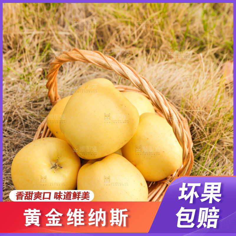 深底上的维纳斯苹果