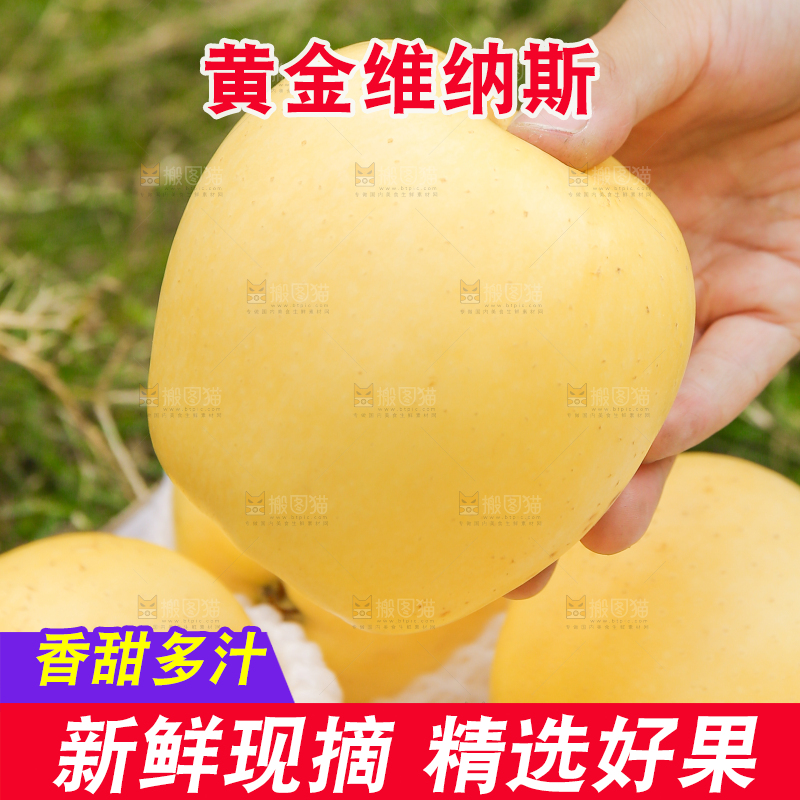 深底上的维纳斯苹果