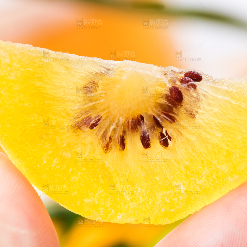 浅底上的黄心猕猴桃干