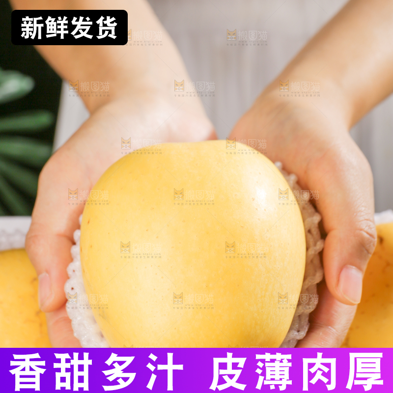白底上的维纳斯苹果
