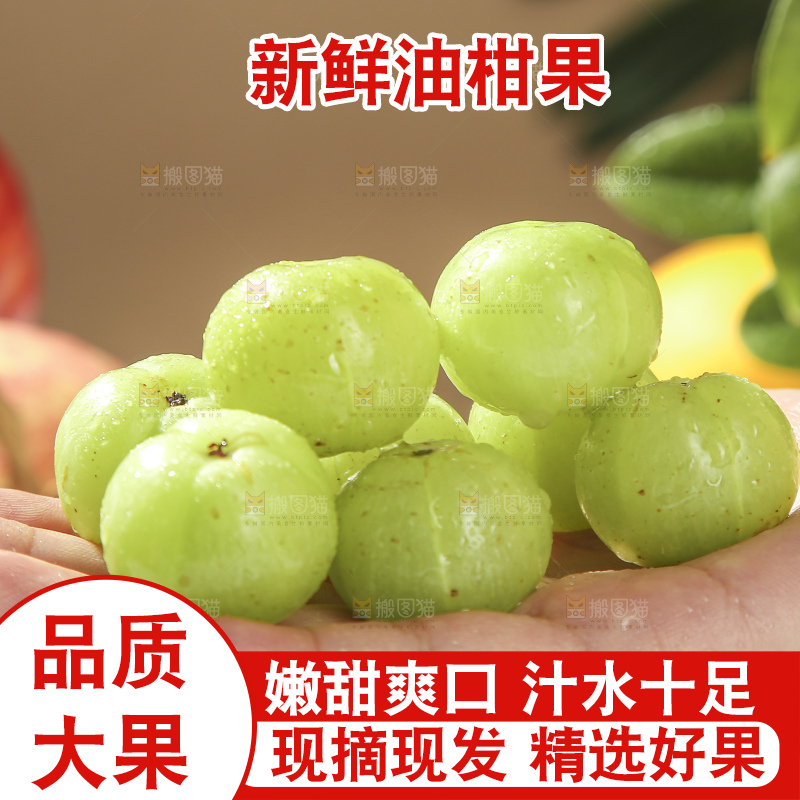 浅底上的油甘果