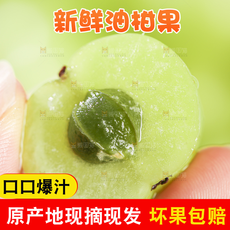 浅底上的油甘果