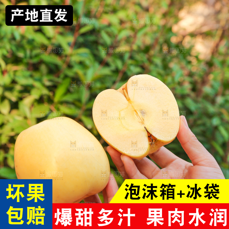 手里拿着维纳斯苹果