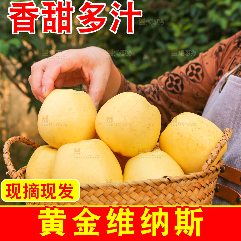 手里拿着维纳斯苹果