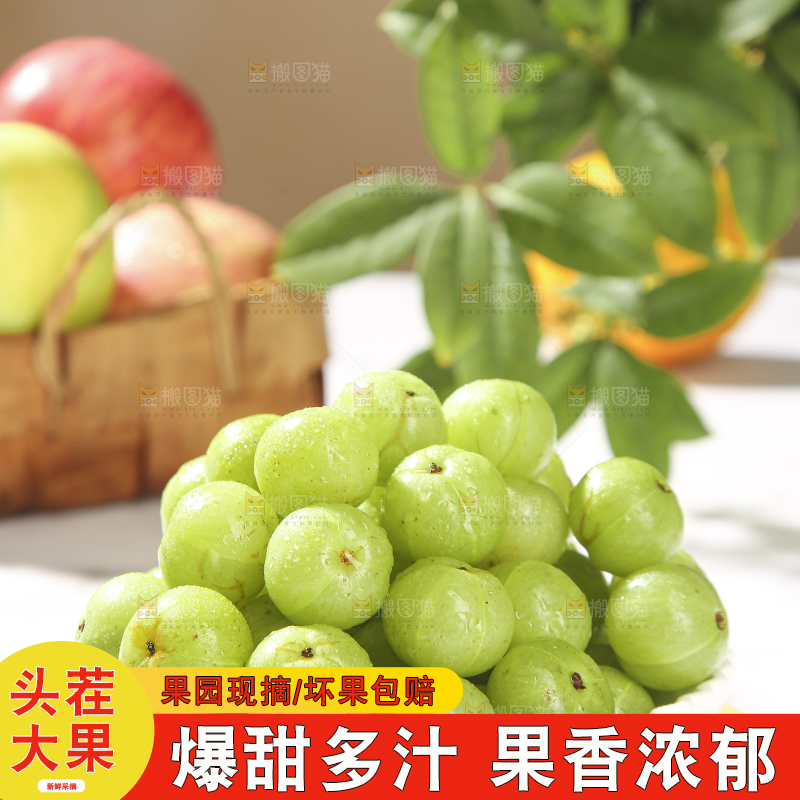 浅底上的油甘果