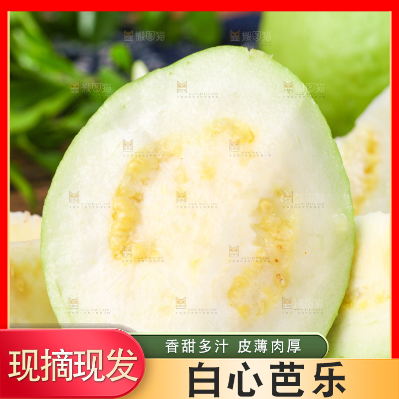 深底上的白心芭乐