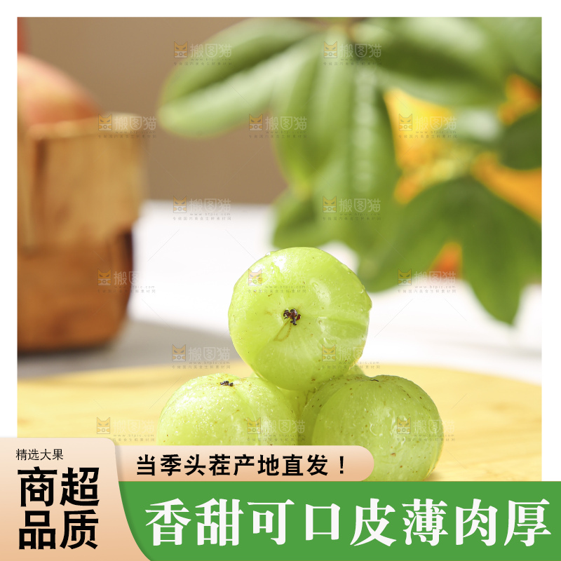 浅底上的油甘果