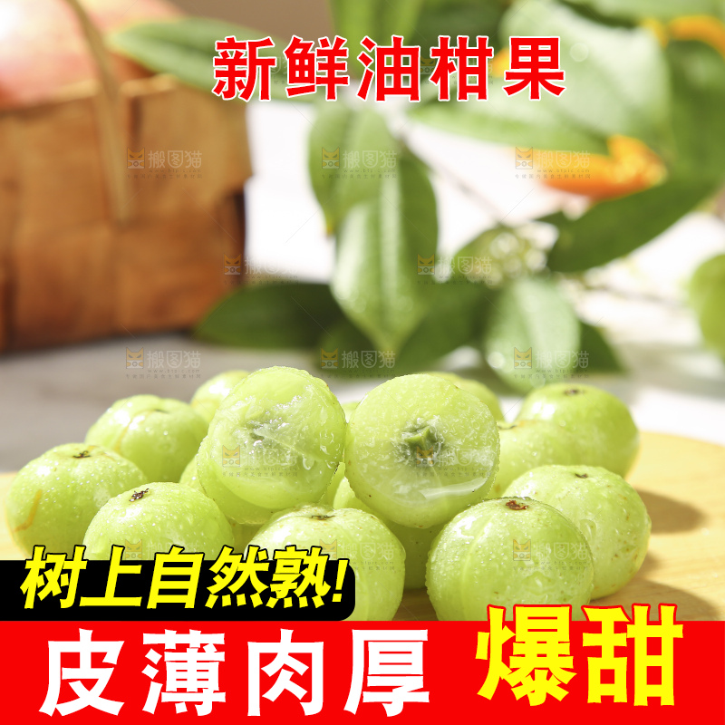 浅底上的油甘果