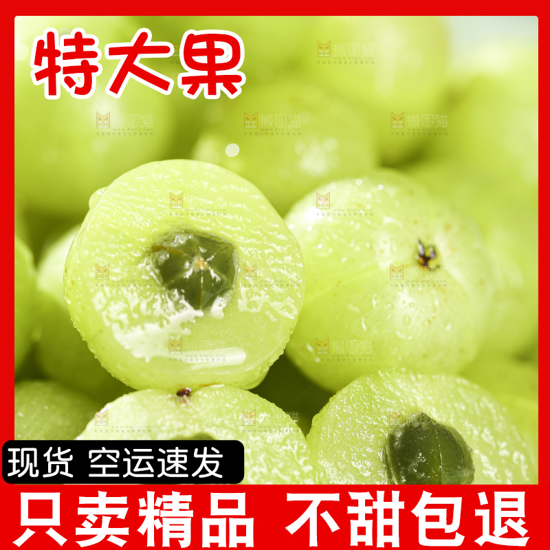 浅底上的油甘果