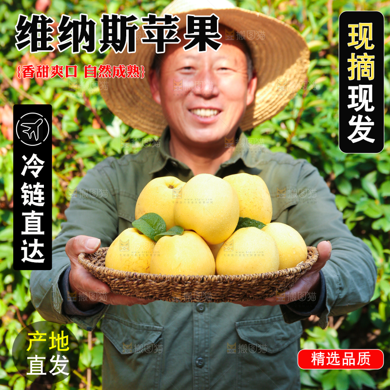 手里拿着维纳斯苹果