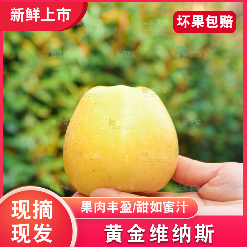 手里拿着维纳斯苹果