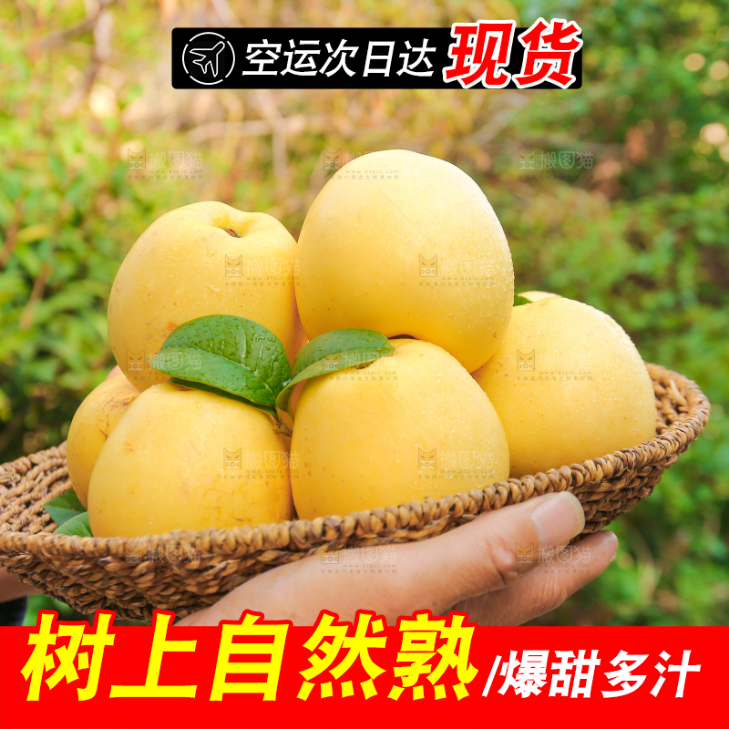手里拿着维纳斯苹果