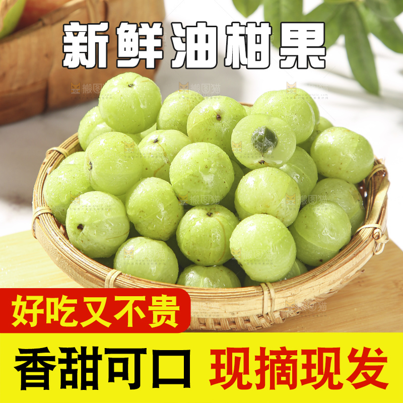 浅底上的油甘果