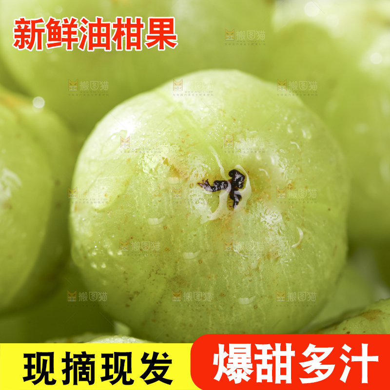 浅底上的油甘果