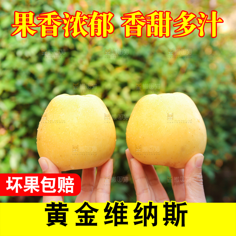 手里拿着维纳斯苹果