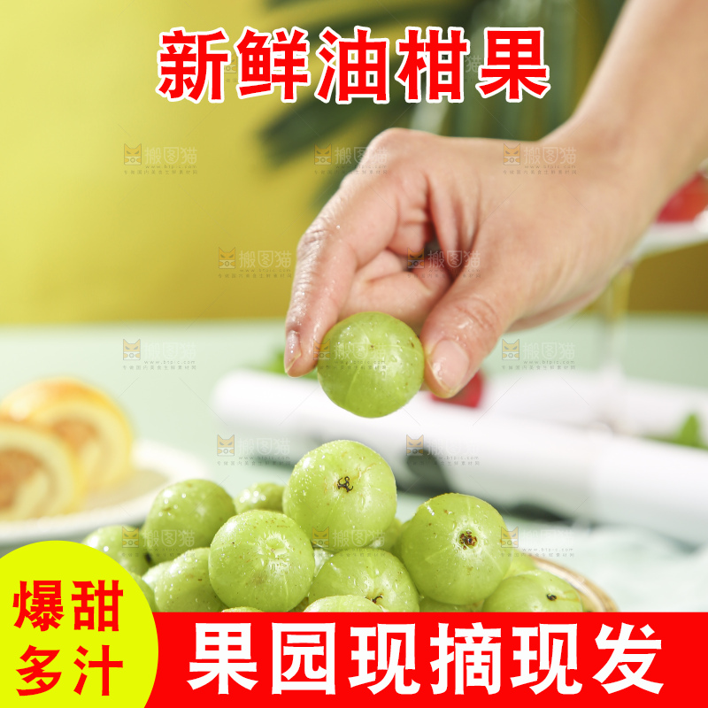 浅底上的油甘果