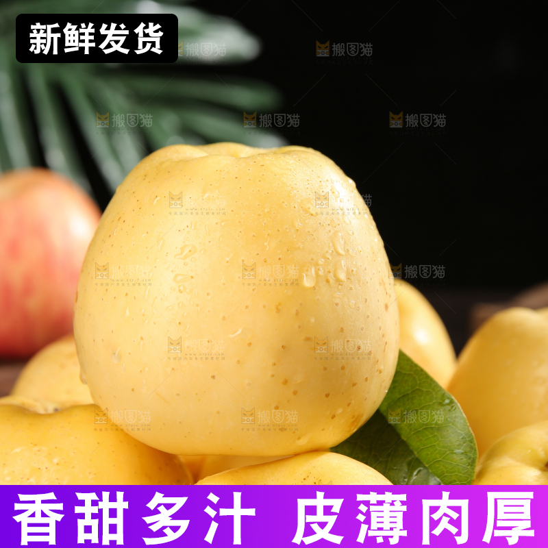 深底上的维纳斯苹果