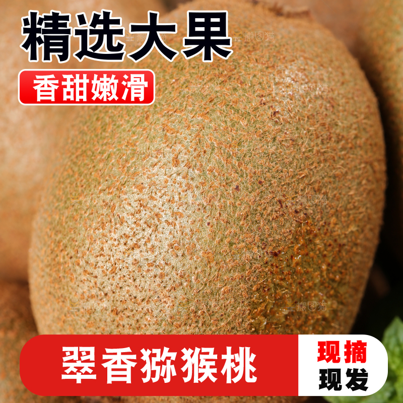 白底上放着翠香猕猴桃