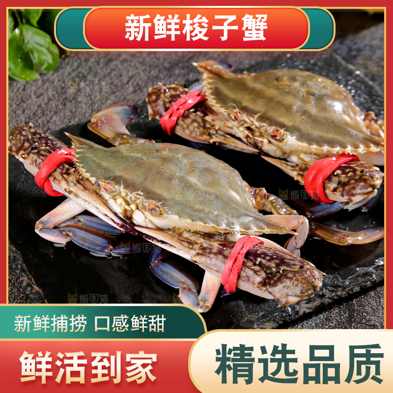 深底上放着梭子蟹