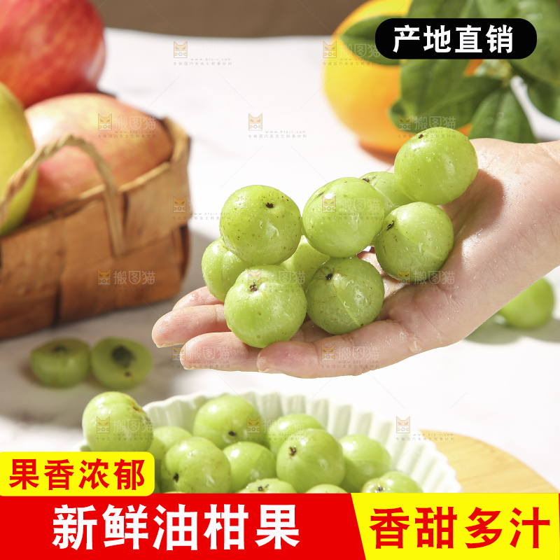 浅底上的油甘果