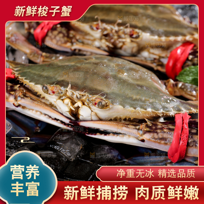 深底上放着梭子蟹