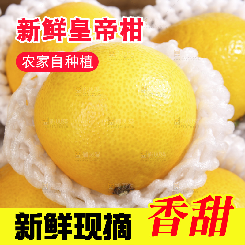 白底上的皇帝柑