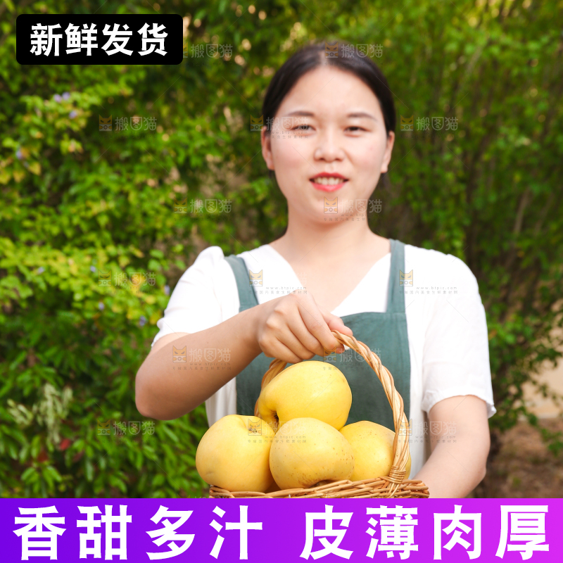 手里拿着维纳斯苹果