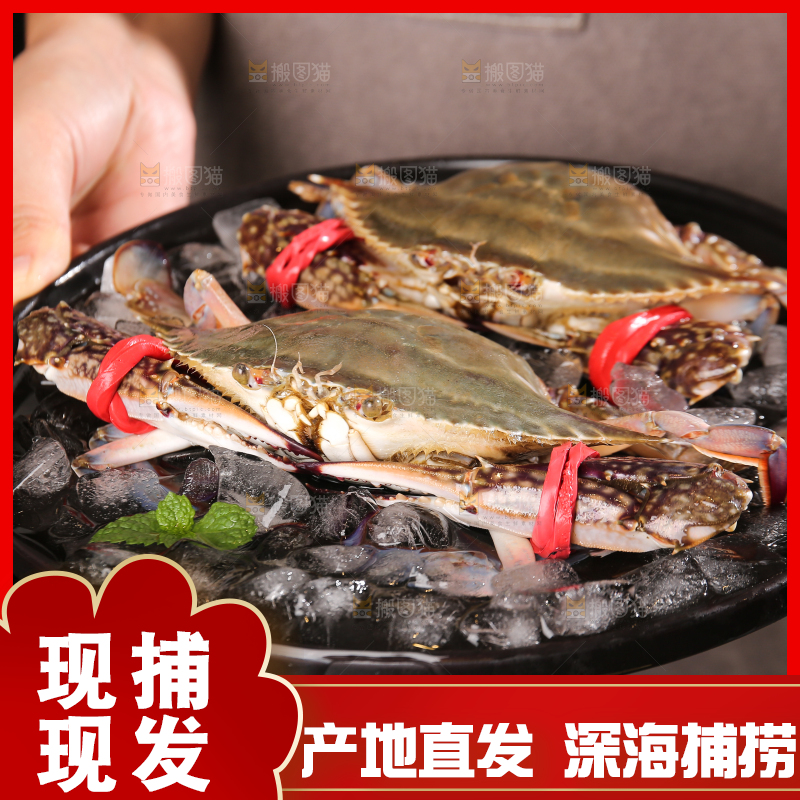 深底上放着梭子蟹