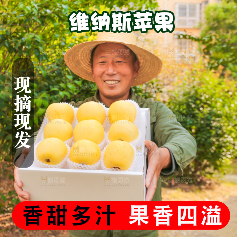 手里拿着维纳斯苹果