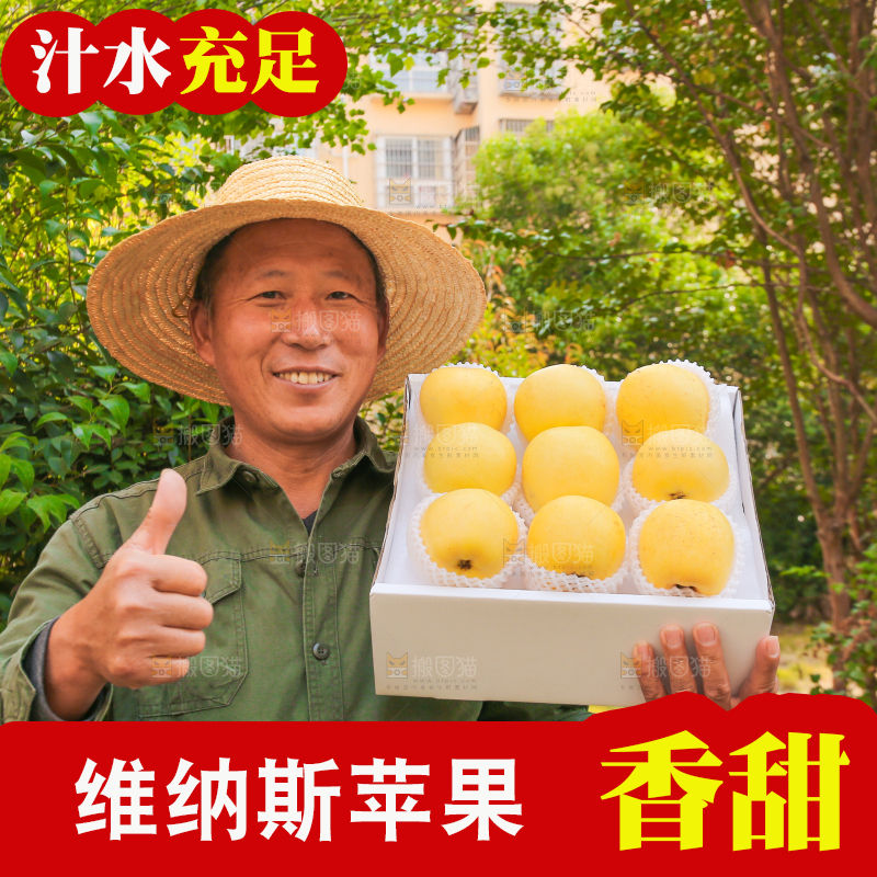 手里拿着维纳斯苹果