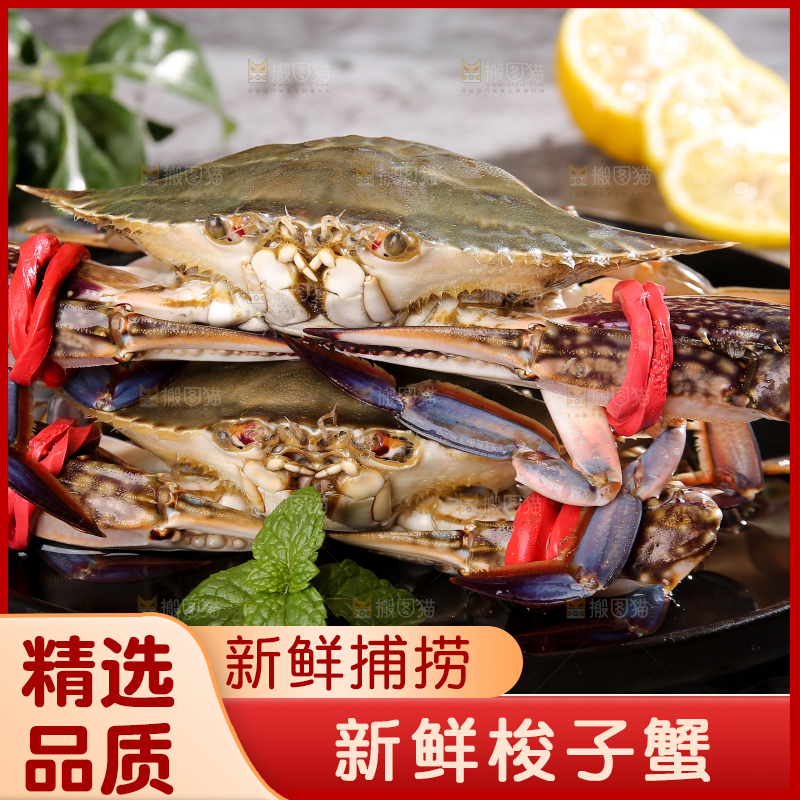深底上放着梭子蟹