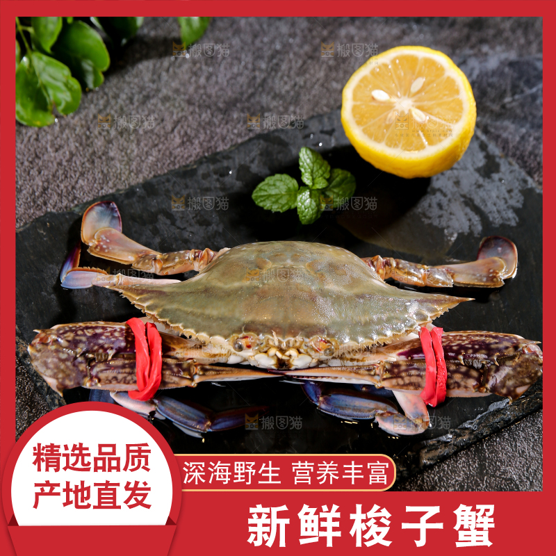 深底上放着梭子蟹