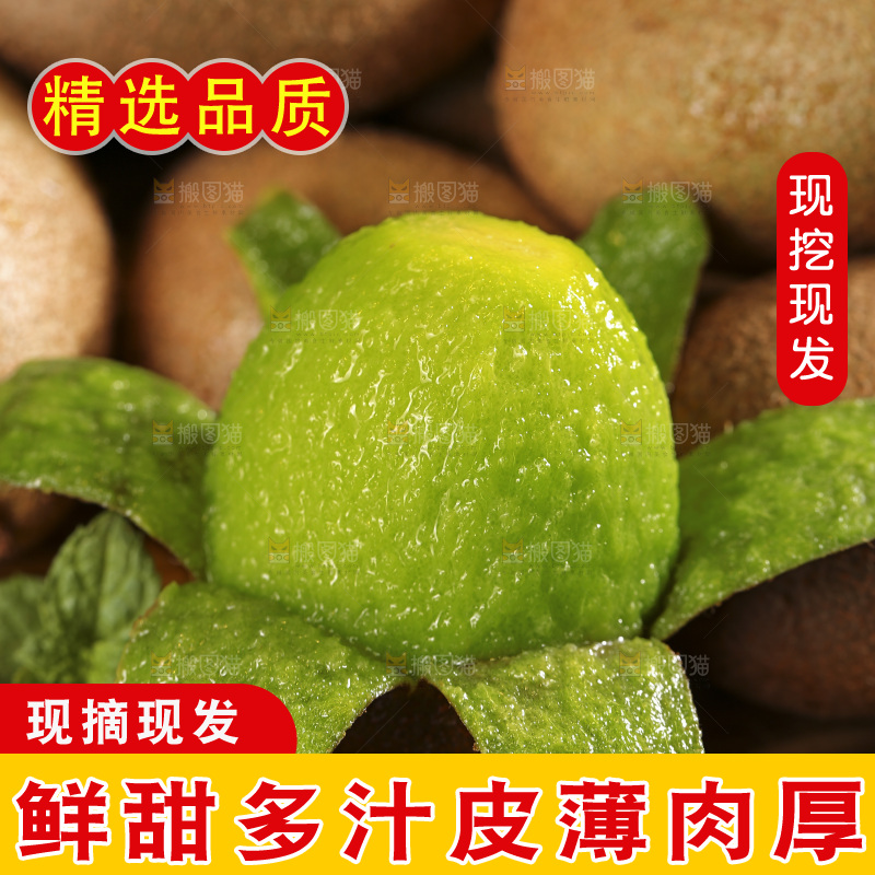 黑底上的翠香猕猴桃