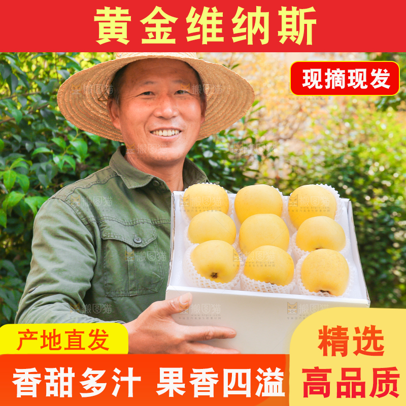 手里拿着维纳斯苹果
